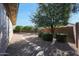Landscaped backyard with stone pathway and trees at 14953 W Walking Stick Way, Surprise, AZ 85374