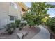 Landscaped pathway with lemon trees and building view at 7777 E 2Nd St # 111, Scottsdale, AZ 85251