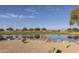 Scenic pond view with golf course background at 33550 N Dove Lakes Dr # 2026, Cave Creek, AZ 85331