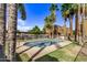 Refreshing community pool surrounded by palm trees at 16225 N 30Th St # 6, Phoenix, AZ 85032