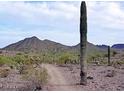 Scenic desert landscape with mountains and cacti at 0 N Bell Rd # 4, Queen Creek, AZ 85144