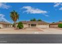 View 9607 W Spanish Moss Ln Sun City AZ