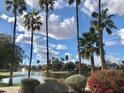 Scenic community lake view with palm trees and lush landscaping at 1873 E Mcnair Dr, Tempe, AZ 85283