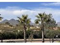 View 10401 N Saguaro E Blvd # 209 Fountain Hills AZ