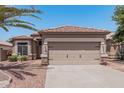 Single story home with 2 car garage and palm tree at 10826 W Piute Ave, Sun City, AZ 85373