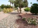 Landscaped backyard with gravel, mature trees, and rock garden at 12611 W Gable Hill Dr, Sun City West, AZ 85375