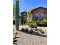 Landscaped front yard with desert plants and gravel at 20371 E Calle De Flores --, Queen Creek, AZ 85142