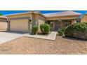 Single-story house with a two-car garage and well-manicured landscaping at 13711 W Tara Ln, Surprise, AZ 85374