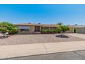 Ranch-style home with a large front yard and mature landscaping at 6217 E El Paso St, Mesa, AZ 85205