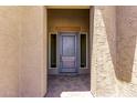 Gray front door with sidelights and a stone entryway at 20755 W San Miguel Ave, Buckeye, AZ 85396