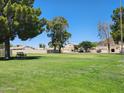 Green community area with trees and a park bench at 4760 W Wahalla Ln, Glendale, AZ 85308