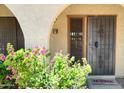 Attractive entryway with wrought iron security door and colorful flowers at 16336 E Palisades Blvd # 9, Fountain Hills, AZ 85268
