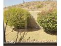 Desert backyard view with shrubs, a wall, and a rocky landscape at 16044 S 28Th St, Phoenix, AZ 85048