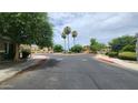 Residential street scene with palm trees and curved road at 6349 W Valencia Dr, Laveen, AZ 85339