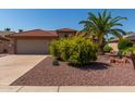 Tan house with terracotta roof, yellow flowers, and palm tree at 15631 W Bethesda Ct, Surprise, AZ 85374