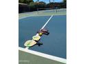 Community paddleball court with paddles and a ball at 3031 N Civic Center Plz # 230, Scottsdale, AZ 85251