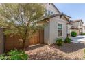 Side yard with gate and landscaping at 16245 W Culver St, Goodyear, AZ 85338