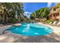 Inviting community pool with lounge chairs and lush landscaping at 2989 N 44Th St # 3036, Phoenix, AZ 85018