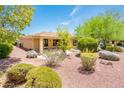 Landscaped backyard with patio and desert landscaping at 13747 W Nogales Dr, Sun City West, AZ 85375