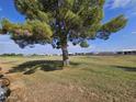 Peaceful view of a lush golf course at 650 N Hawes Rd # 4830, Mesa, AZ 85207