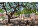 Landscaped front yard with mature tree and attractive landscaping at 4536 E Via Dona Rd, Cave Creek, AZ 85331