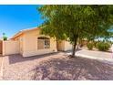 Front view of house with desert landscaping, tree, and driveway at 745 E Megan St, Chandler, AZ 85225