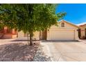 Front view of house with desert landscaping, tree, and driveway at 745 E Megan St, Chandler, AZ 85225