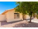 Front view of house with desert landscaping, tree, and driveway at 745 E Megan St, Chandler, AZ 85225
