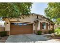 House exterior with brown garage door, landscaping, and large tree at 2677 E Ficus Way, Gilbert, AZ 85298