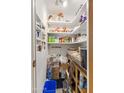 Well-stocked pantry with ample shelving for storage at 535 S Alma School Rd # 83, Mesa, AZ 85210