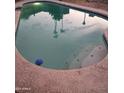 Inviting kidney-shaped pool in the backyard at 11022 N 41St Ave, Phoenix, AZ 85029