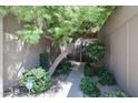 Attractive entryway with mature trees and a paved walkway at 7761 N 19Th Ln, Phoenix, AZ 85021