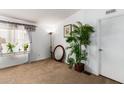Bright spare bedroom with large plant and mirror at 9431 E Coralbell Ave # 172, Mesa, AZ 85208