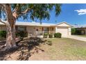 House exterior featuring a large tree and a landscaped yard at 10318 W Desert Forest Cir, Sun City, AZ 85351