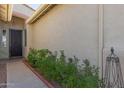 Inviting front door entry with well-manicured landscaping at 7363 W Park St, Laveen, AZ 85339