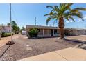 Front view of a light brown ranch home with a palm tree at 5515 E Cicero St, Mesa, AZ 85205