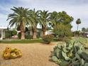 Landscaped yard with mature palm trees and desert plants at 17200 W Bell Rd # 2228, Surprise, AZ 85374