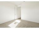 Spacious bedroom with neutral wall colors and carpeted flooring at 3530 E Alexander Dr, San Tan Valley, AZ 85143