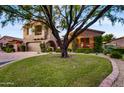 Two story home with large tree and manicured lawn at 3129 S Honeysuckle Ct, Gold Canyon, AZ 85118