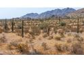 Expansive desert landscape with saguaro cacti and distant mountains at 0 W Pima Rd, Maricopa, AZ 85139