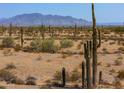 Wide view of Sonoran Desert landscape with saguaro cacti at 0 W Pima Rd, Maricopa, AZ 85139