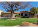 House exterior with mature tree and artificial turf at 10913 N 153Rd Ln, Surprise, AZ 85379
