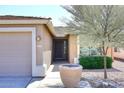 House exterior showcasing the front entrance with a large pot and a mature tree at 3771 E Hazeltine Way, Chandler, AZ 85249