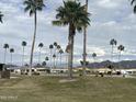 Landscaped golf course view with palm trees and distant mountains at 2661 N Higley Rd, Mesa, AZ 85215