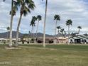 View of a lush green golf course with palm trees and mountains in the background at 2661 N Higley Rd, Mesa, AZ 85215