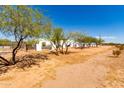 Landscaped front yard with mature trees and a white modern home at 23008 E Galveston St, Mesa, AZ 85212