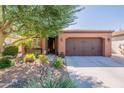 House exterior with a two-car garage and landscaping at 1755 E Atole Pl, Queen Creek, AZ 85140