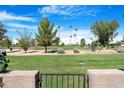 Scenic view of a lush green golf course from the property at 10224 E Michigan Ave, Sun Lakes, AZ 85248