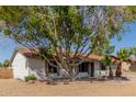 Ranch style home with mature trees and a large yard at 17226 N 29Th Dr, Phoenix, AZ 85053