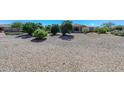 Backyard with gravel and desert landscaping at 17041 W Artesia Dr, Surprise, AZ 85387